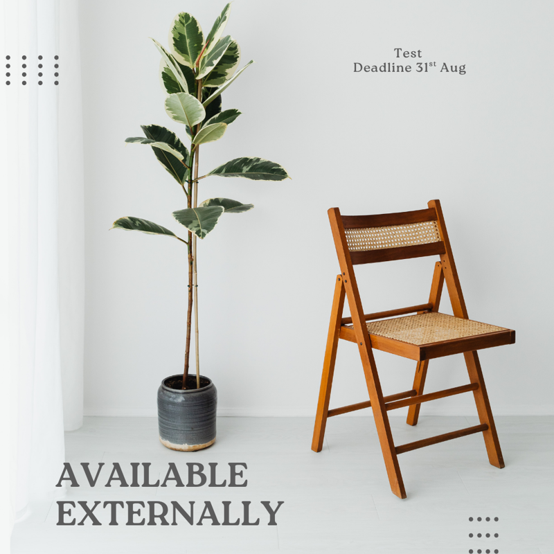 Wooden Folding Chair with Rattan Seat and Back