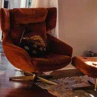 Rust Velvet Egg Chair with Ottoman
