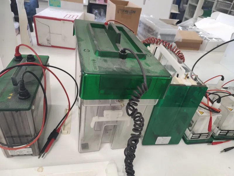 Laboratory Electrophoresis Equipmen