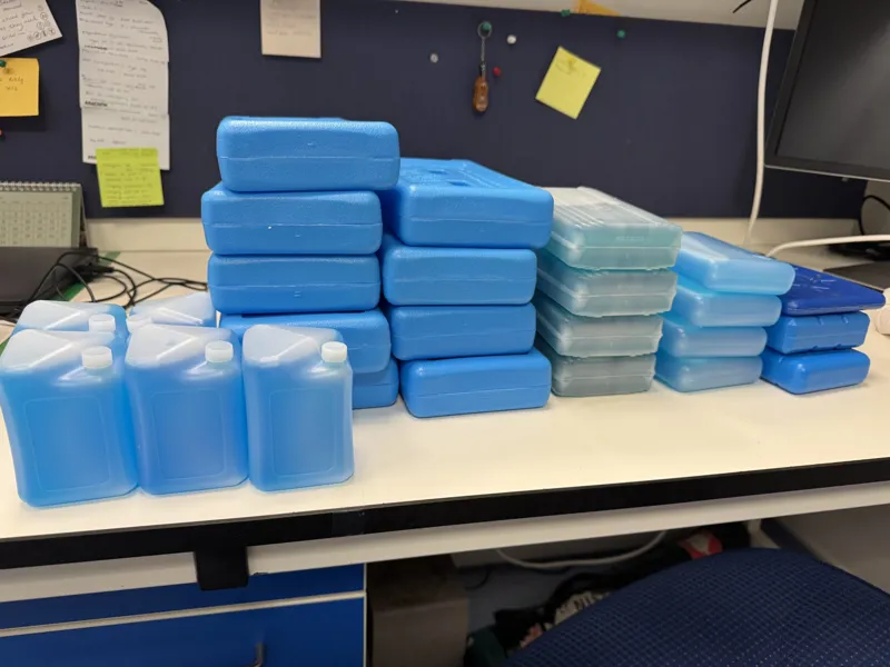Blue Reusable Ice Packs and Freezer Blocks