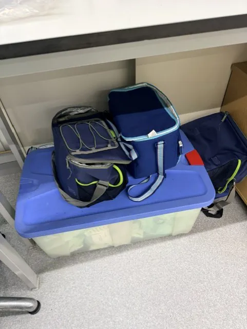 Bags for sample transportation