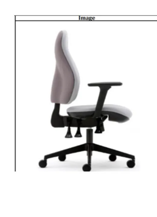 Ergonomic Specialist Office Chair