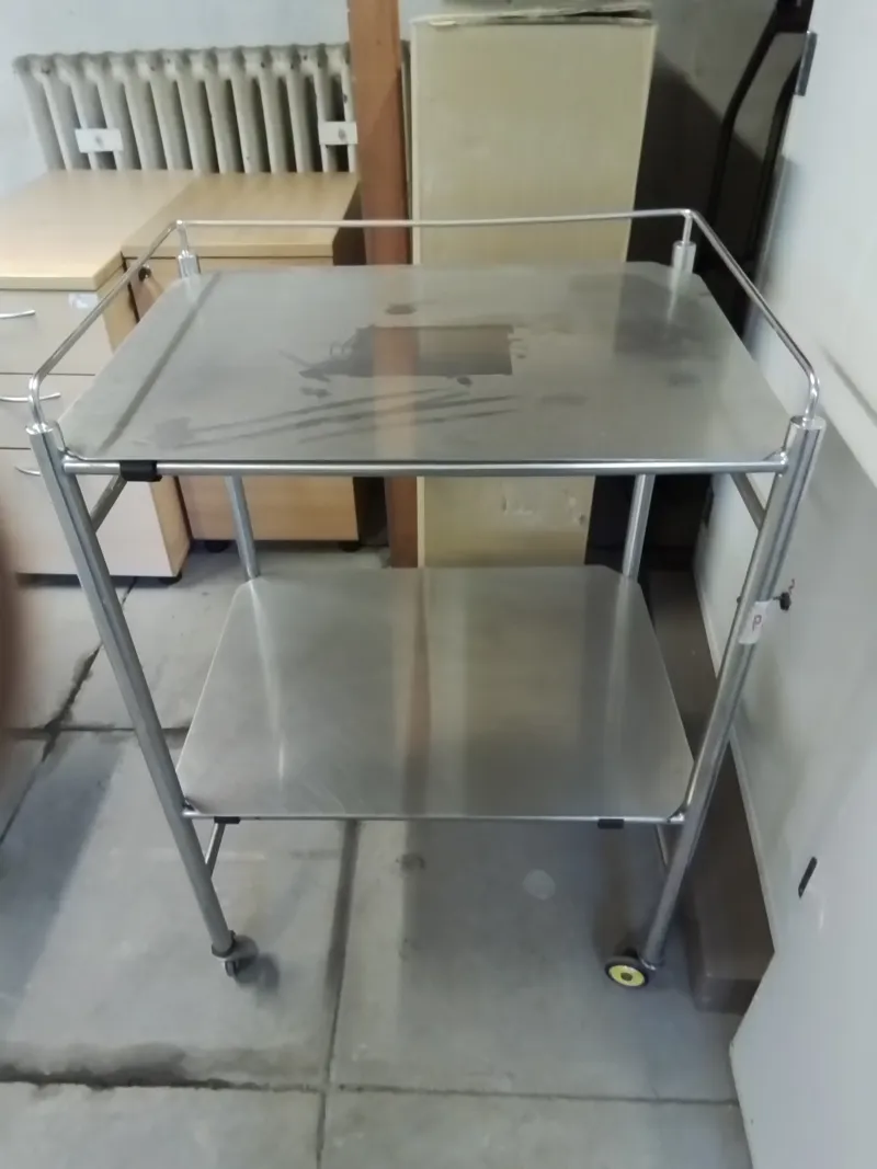 Stainless Steel 2-Tier Mobile Trolley with Handles