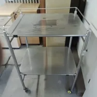 Stainless Steel 2-Tier Mobile Trolley with Handles