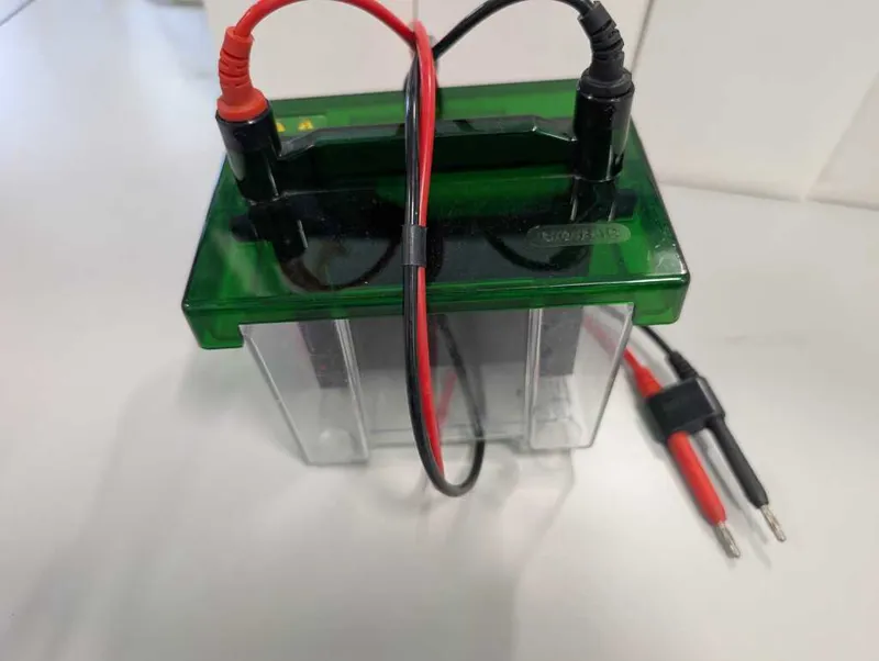 Mini Trans-Blot® Cell