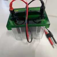 Mini Trans-Blot® Cell