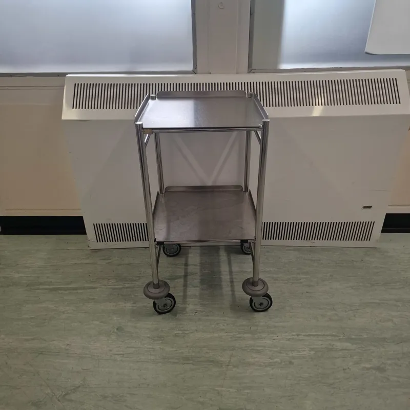 Stainless Steel Mobile Trolley with Two Shelves