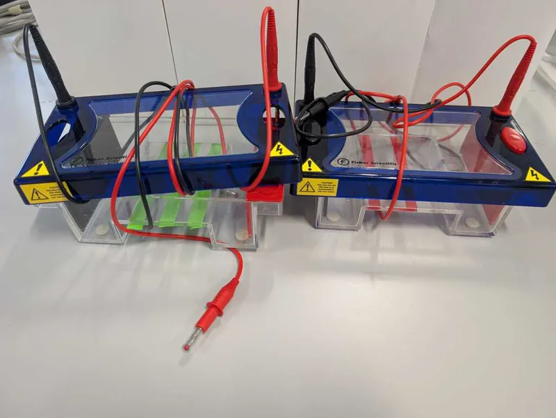 Pair of Fisher Scientific Electrophoresis Power Supplies with Test Leads
