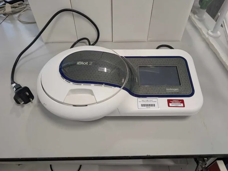 iBlot 2 Dry Blotting System with Invitrogen Display