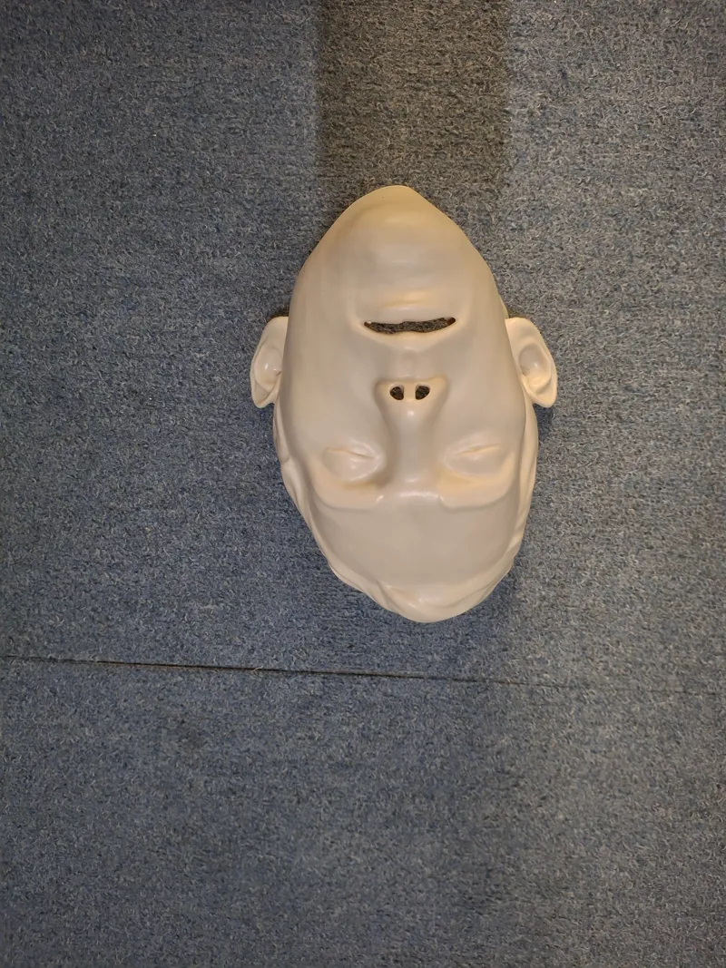 Brayden Adult Manikin Face Skin